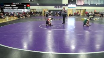 110 lbs Champ. Round 1 - Amelia Terrill, Iowa City High vs McKenzie Ostola, Dubuque Hempstead
