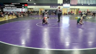 110 lbs Champ. Round 1 - Amelia Terrill, Iowa City High vs McKenzie Ostola, Dubuque Hempstead