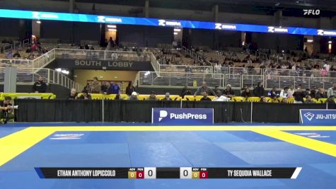 Ty Sequoia Wallace vs Ethan Anthony Lopiccolo 2025 Pan Jiu Jitsu IBJJF Championship