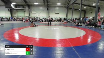 84 lbs Rr Rnd 3 - Candace Seiz, Guerrilla Wrestling Academy vs Natalie Lippstreu, Level Up