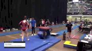 Ava Hicks - Women's Group, Swiss Turners Gymnastics Academy - 2021 Women's Xcel Region 4 Championships