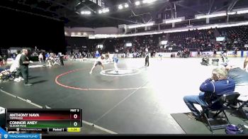 285 lbs Semifinal - Connor Aney, Glacier Peak vs Anthony Nava, Toppenish