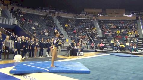 Michigan, Brianna Brown, FX