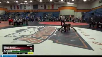 157 lbs Cons. Round 4 - Collin Quandt, Nebraska Wesleyan University vs Schuyler Caprella, Ohio Northern