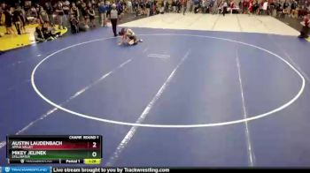 113 lbs Champ. Round 1 - Mikey Jelinek, Stillwater vs Austin Laudenbach, Apple Valley