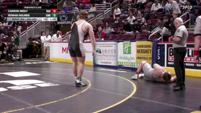 285 lbs Quarterfinal - Carson Neely, Port Allegany vs Rowan Holmes, Somerset