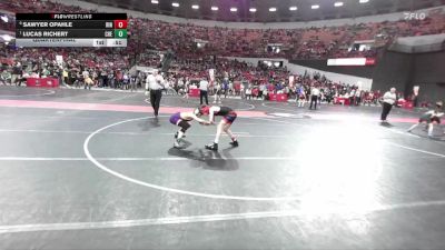 120 lbs Quarterfinal - Lucas Richert, Chetek-Weyerhaeuser vs Sawyer Opahle, Ringers
