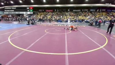 138 lbs Cons. Round 4 - Camden Tebay, Dell Rapids Wrestling vs Sloan Hart, Natrona Colts