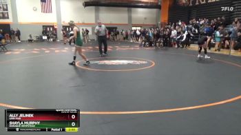 120 lbs Quarterfinal - Ally Jelinek, Linn-Mar vs Shayla Murphy, Dubuque Hempstead