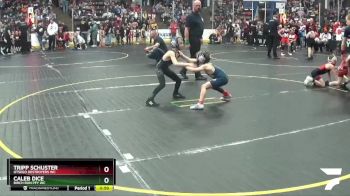 52 lbs Cons. Round 1 - Caleb Dice, Birch Run PFY WC vs Tripp Schuster, Otsego Destroyers WC