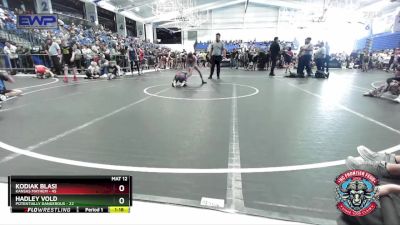 96 lbs Round 2 (4 Team) - Hadley Vold, Potentially Dangerous vs Kodiak Blasi, Kansas Mayhem