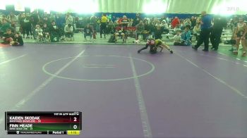 100 lbs Finals (2 Team) - Kaiden Skodak, Backyard Brawlers vs Finn Meade, Ohio Gold 24k