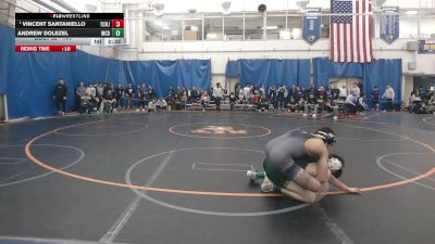 141 lbs Champ. Round 2 - Vincent Santaniello, Tcnj vs Andrew Dolezel, McDaniel