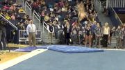 Michigan, Brianna Brown, 9.85 FX