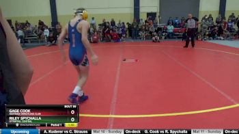 110 lbs Cons. Round 3 - Gage Cook, Hastings Wrestling Club vs Riley Spychalla, Ottertail Central