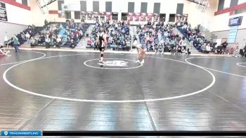 132 lbs Semifinal - Gavin Carnahan, Deer Park vs Parker Warren, Newport