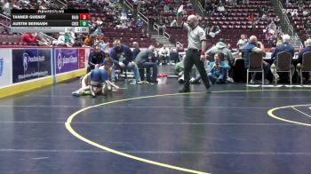 133 lbs First Round - Tanner Guenot, Bald Eagle Area vs Austin Bernash, Chestnut Ridge