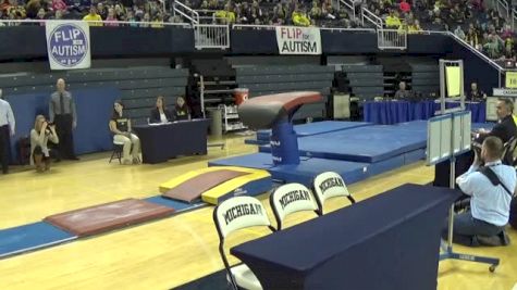 Michigan, Briley Casanova, 9.75 VT