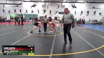 133 lbs Round 2 (10 Team) - Israel Gonzalez, West Liberty 2 vs Gabe Hansen, Ohio Northern 2