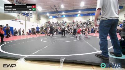 73 lbs Consolation - CJ Tyler, Black Fox Wrestling Club vs Liam Dyches, Bartlesville Wrestling Club