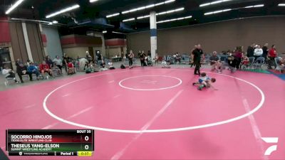 49 lbs 1st Place Match - Theseus Yang-Elson, Summit Wrestling Academy vs Socorro Hinojos, Texas Elite Wrestling Club