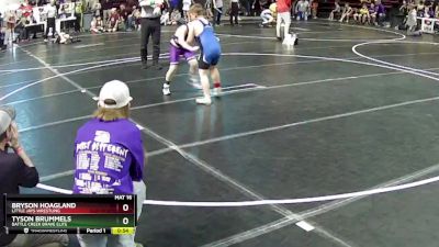 112 lbs Cons. Round 2 - Bryson Hoagland, Little Jays Wrestling vs Tyson Brummels, Battle Creek Brave Elite