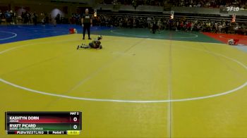 45 lbs Champ. Round 1 - Kashtyn Dorn, Adrian vs Ryatt Picard, Dassel-Cokato-Litchfield