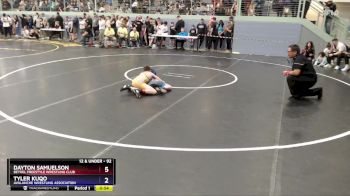 92 lbs Cons. Round 3 - Dayton Samuelson, Bethel Freestyle Wrestling Club vs Tyler Kuqo, Avalanche Wrestling Association