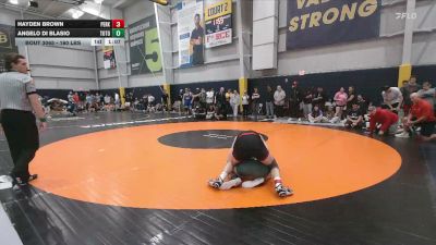 160 lbs Round Of 16 - Hayden Brown, Perkiomenville vs Angelo Di Blasio, Totowa