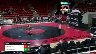 157 lbs Finals (2 Team) - Logan Sichelstiel, Davidson vs Matty Bianchi, Little Rock