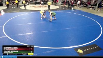 145 lbs 9th Place Match - Calder Sheehan, Rochester Mayo vs Jarrett Wadsen, St. Michael-Albertville