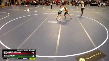 189 Championship Bracket Quarterfinal - Dylan Richardson, Park vs Carter Funk, Rochester Mayo