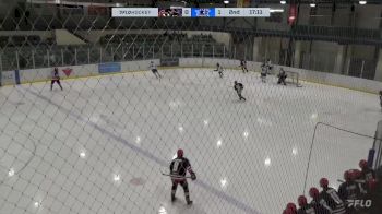 Replay: Home - 2025 Cougars U18 AAA vs Norman U18 AAA | Jan 12 @ 1 PM