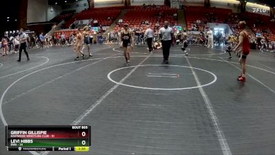 96-100 lbs Quarterfinal - Griffin Gillispie, Eastwood Wrestling Club vs Levi Hibbs, DWA