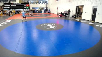 165 lbs Cons. Round 3 - Emilio Liscano, Indiana Tech vs Coy Hall, Cornerstone