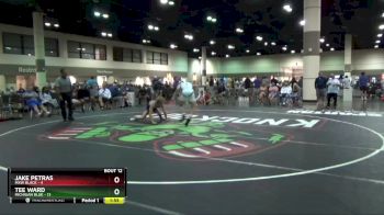 132 lbs Round 2 (16 Team) - Tee Ward, Michigan Blue vs Jake Petras, MXW Black