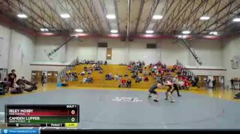 145 lbs Finals (2 Team) - Riley Mosby, Pike Central vs Camden Lupfer, North Posey