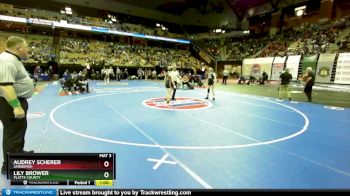 115 Class 2 lbs Cons. Semi - Audrey Scherer, Lindbergh vs Lily Brower, Platte County