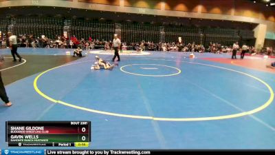 56-57 lbs Round 4 - Gavin Wells, Damonte Ranch Mustangs vs Shane Gildone, Buckaroo Wrestling Club