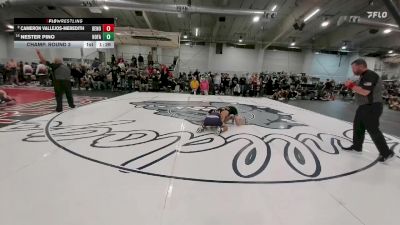 106 lbs Champ. Round 3 - Nester Pino, Holy Family vs Cameron Vallejos-Meredith, Denver North