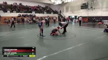 131 lbs Semifinal - Skyler Gassel, Newport Harbor vs Tegan Nguyen, Palm Desert