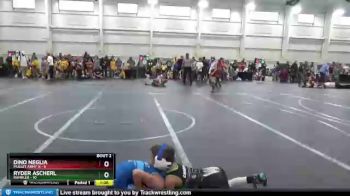 60 lbs Round 1 (8 Team) - Dino Neglia, Mullet Army N vs Ryder Ascherl, Rambler