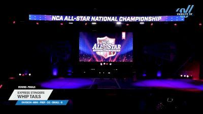 Express Stingers - Whip Tails [2025 L1.1 Mini - PREP - D2 - Small - B Finals] 2025 NCA All-Star National Championship