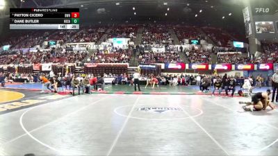 AA - 175 lbs Cons. Semi - Payton Cicero, Billings West vs Dane Butler, Helena Capital