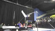 KJ Richardson - High Bar, Gymkhana IL - 2021 USA Gymnastics Development Program National Championships