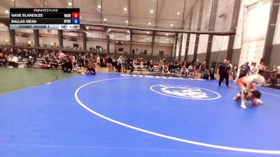 Junior FK - 175 lbs Champ. Round 1 - Gage Blakeslee, Washington vs Dallas Mejia, Hanford Tyrants Wrestling Club