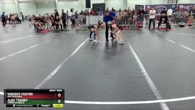 65 lbs Quarterfinal - Vincent Foster, Mat Assassins vs Alex Tsanev, American Dream