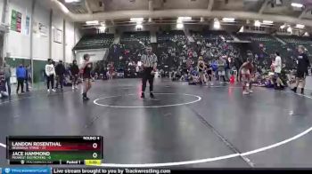 96 lbs Round 4 (6 Team) - Landon Rosenthal, Nebraska Titans vs Jace Hammond, Midwest Destroyers