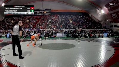 6A 113 lbs Quarterfinal - Matthew Hamilton, Post Falls vs Adam Ostoja, Meridian