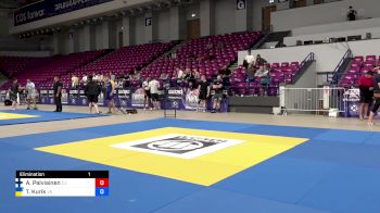 Aaro Palviainen vs Timur Kurik 2024 ADCC Amateur World Championship